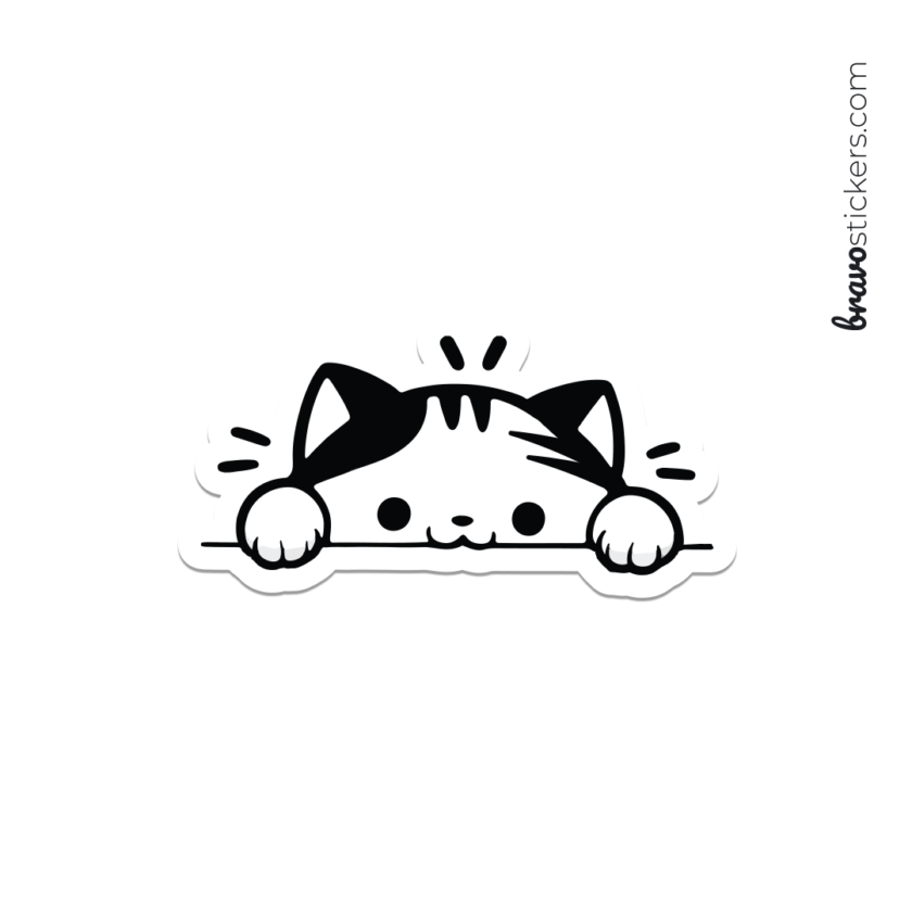 Gatito curioso
