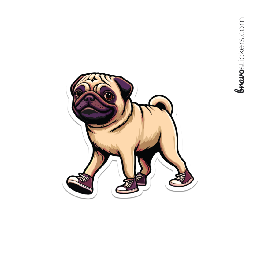 Pug paseando