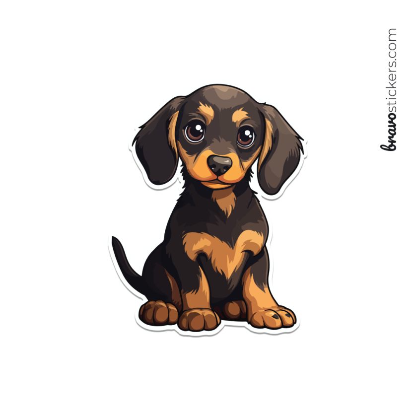 Salchicha dog