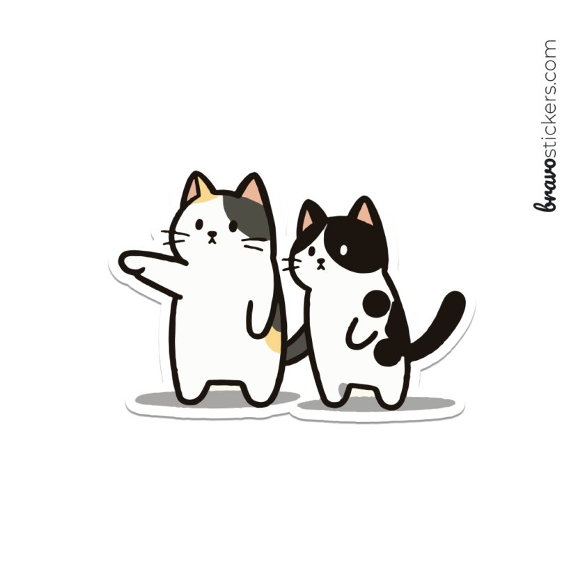 Gatitos curiosos