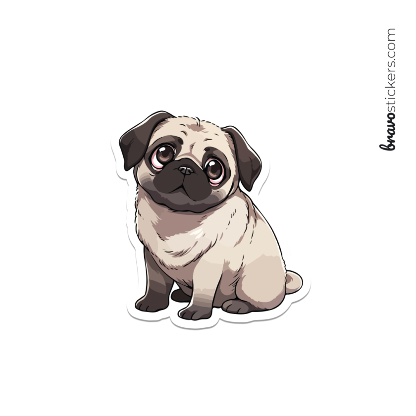 Pug bb