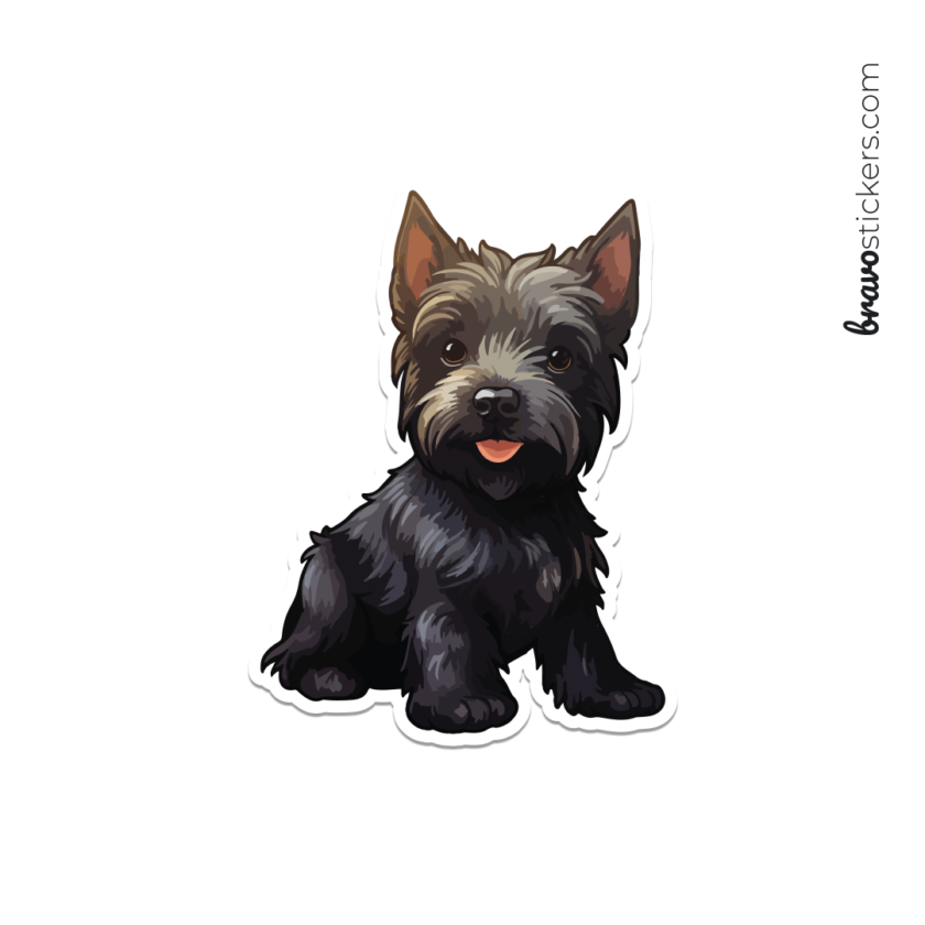 Schnauzer dog