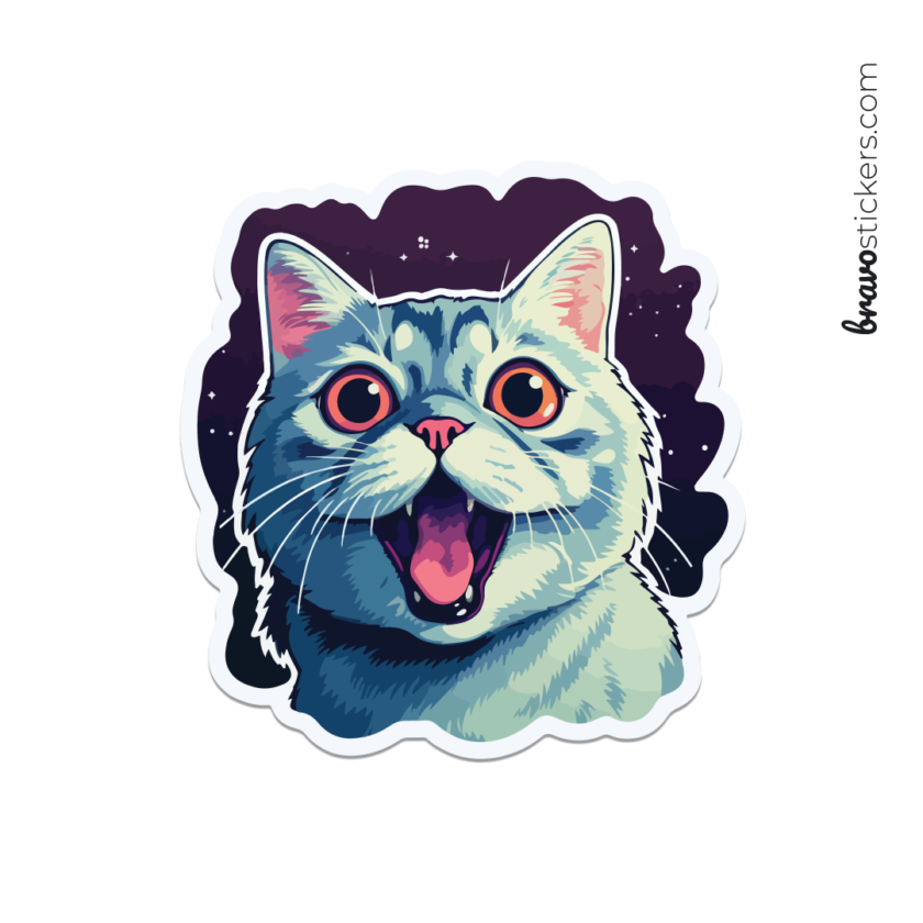 Gato asombrado