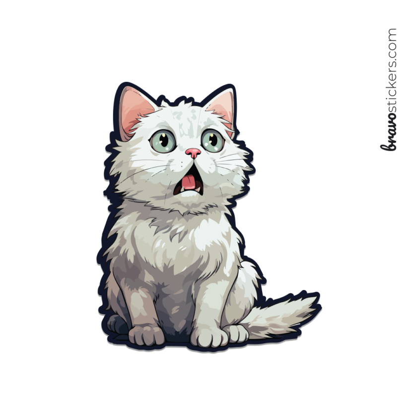 Gato asombrado 2