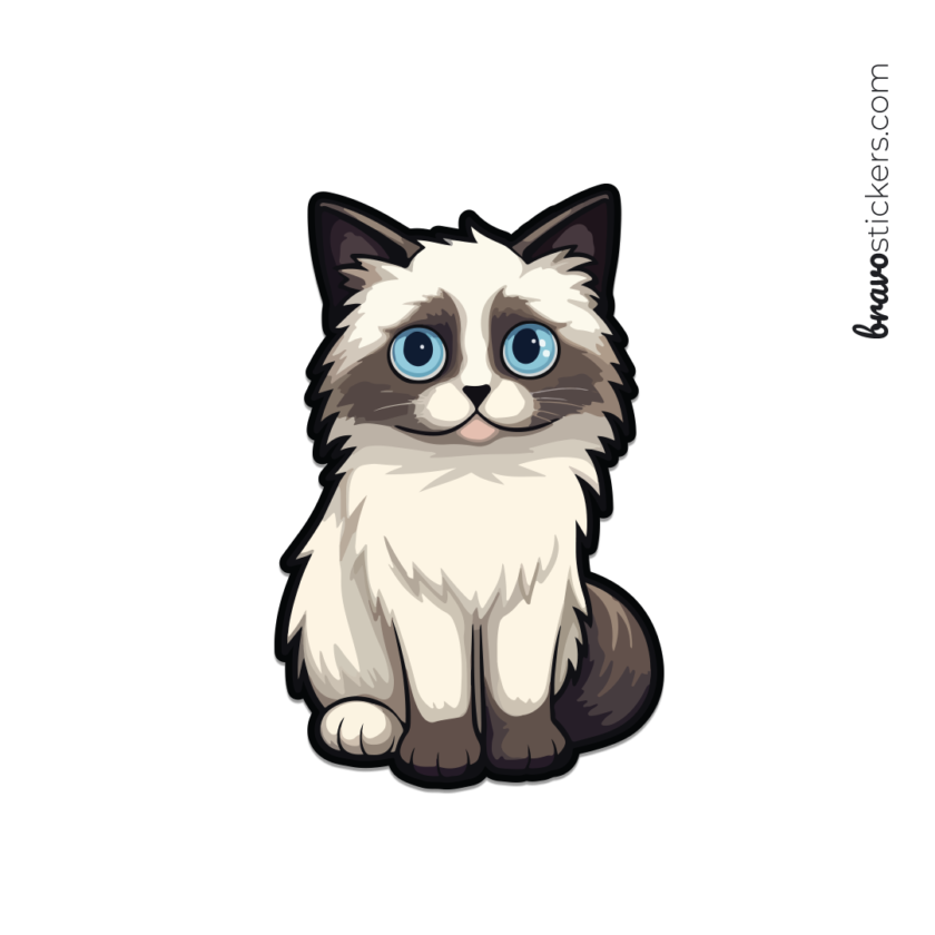 Gatito en ojos azules
