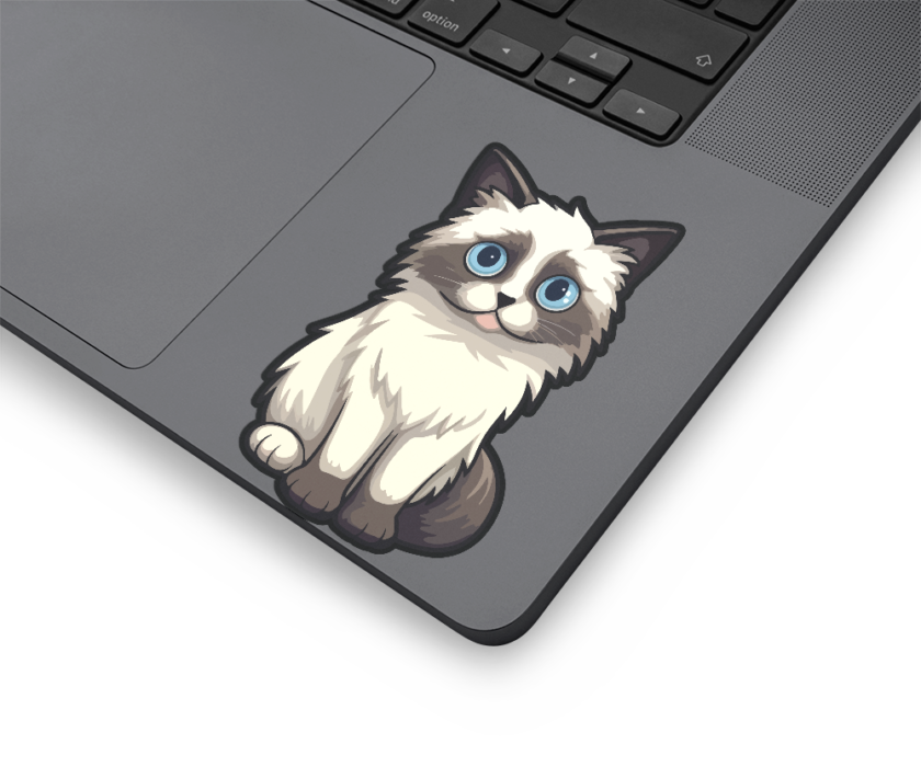 Gatito en ojos azules - Imagen 3