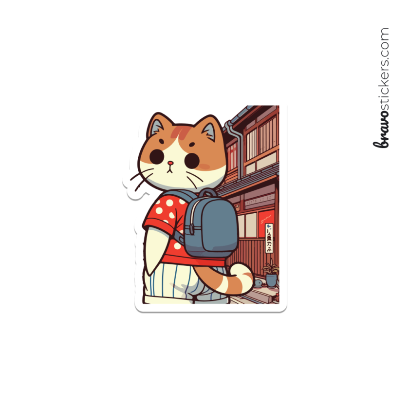 Gato turista