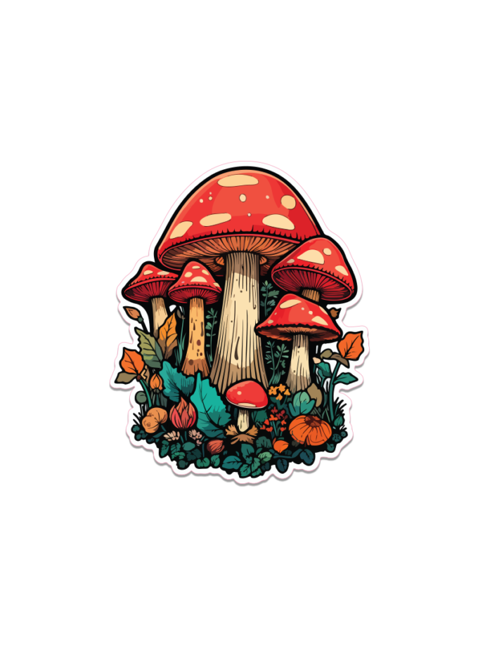 Hongos