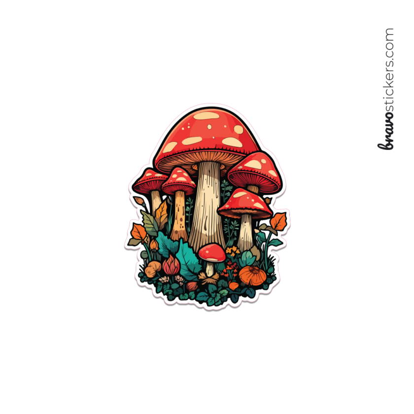 Hongos