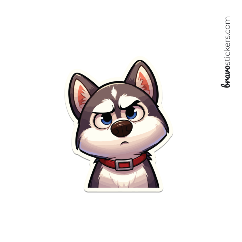 Husky curioso