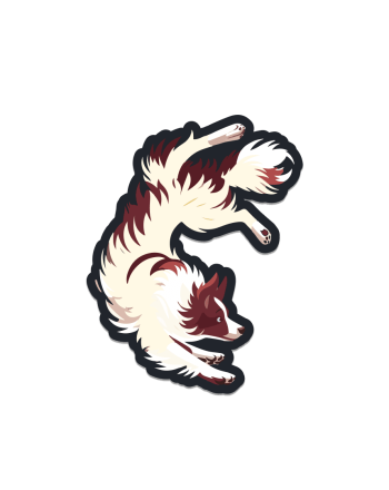 02-border-collie-ava