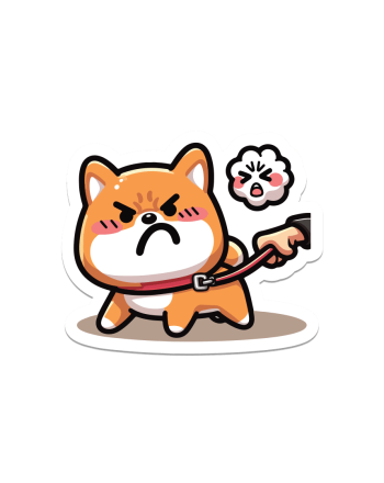 04-corgie-enojado-correa